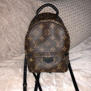 SOLD🚨Louis Vuitton Palm Springs Mini